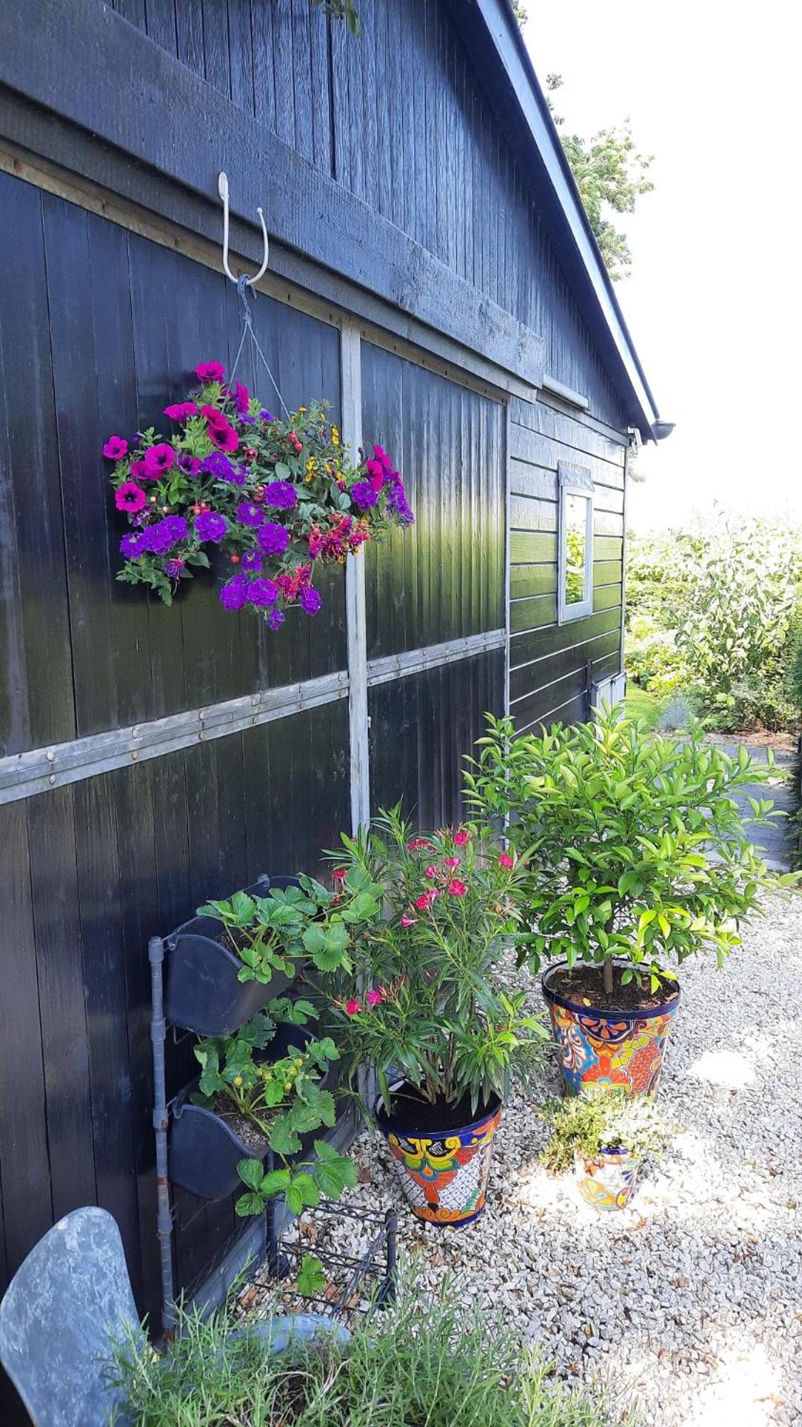 Vakantiehuis Onder De Peppel Met Sauna En Jacuzzi Wijk en Aalburg Exterior foto